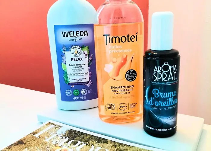 De Vardes Bed & Breakfast Neuf-Marche